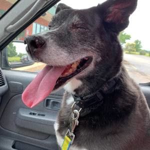 Meet your Posher, Michele